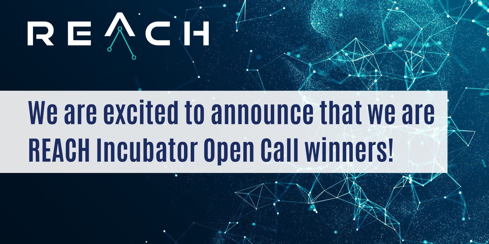 winner announcement